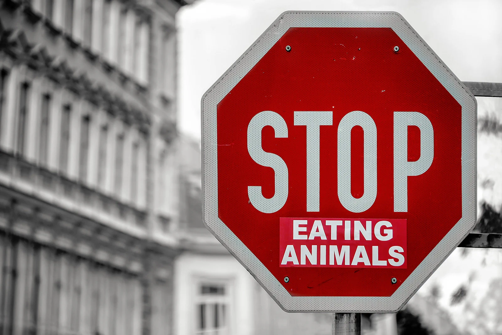 знак "stop" зі стікером "eating animals". припини їсти тварин